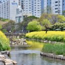 온천천로 이미지