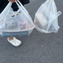 GS25 한림옹포점 | 제주도 내돈내산 옹포횟집 포장 후기 (돌돔, 딱새우 세트)