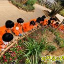 자연유아 어린이집 이미지