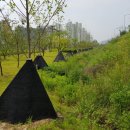 그늘막30 이미지