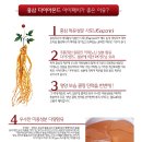 정삼당 - 목포시 소영길 53 | 정삼당