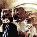 개in샵(개in#) 이미지