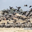 준수산 이미지