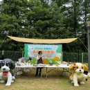 멍스토랑 이미지