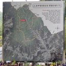 창일농장 이미지