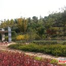 충무공동22 이미지