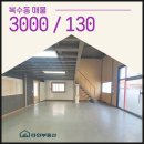 창고임대임차공인중개사사무소 | 대전 복수동 창고임대 도심 속 소형 건물 전체 임대 활용도 높은 복층구조 무권리 추천 매물