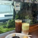 카페아로 - 함양군 조동원구길 3 | 야탑역카페 카페아보리얼 수족관과 테라리움이 있는 이색카페 후기