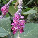 소통과 힐링의 시창작 이미지