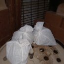 해수워터피아 이미지