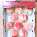 성민청과 이미지