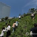 "국민건강보험공단 콜센터 정규직화"...민주노총, 市 '집회 금지'에 언덕 기어오르는 '꼼수' 이미지