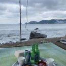 김감자부산