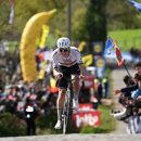 플랜더스 이미지