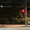 연서닭집 | 뛰어갔지만 건너갈 수 없을 때_주간일기