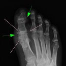 365류마고내과의원 이미지