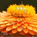 조정대로 이미지