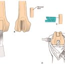 홍제동물병원 이미지