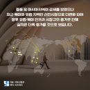 꼬집 - 동구 | 꼬집