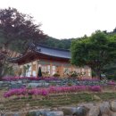 뜰안에 민박 이미지