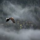 치유한의원 이미지