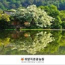 위양지 관광농원 이미지