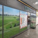 수인목장 | 분당 정자동 고기 맛집 모임 하기 좋은 곳 한우가 맛있는 늘푸른 목장