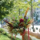 릴리플라워 이미지