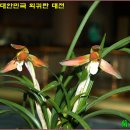 홍*화 - 안양시 만안구 충훈로 14 | 홍*화