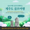 (주)곰투어