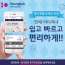 흥국생명보험 이미지