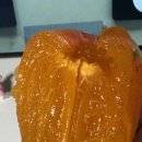 옥계북로12길-1 이미지