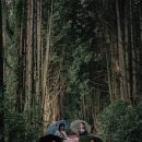 소낭 게스트하우스 이미지