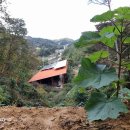 오동슈퍼 이미지