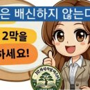 청솔정 네이버블로그