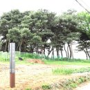 이여발묘 이미지