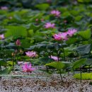 누구개요 이미지