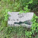 한국GM파주서비스센터 | 파주 파인빌 파3 어프로치연습장 후기 ⛳️ 내돈내산