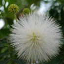 색연필드로잉 이미지