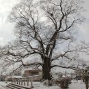 한재초등학교 이미지