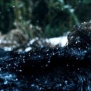 더그레이 이미지