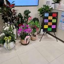 임연웅신경외과의원 이미지