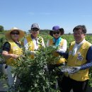 포승농장 이미지