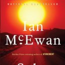 솔라이언 이미지