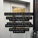 미즈마켓 | 더콜디스트모먼트 플리마켓 세일 팝업 후기 ..
