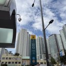 용산-67 | [서울 용산] 삼각지대구탕 후기, 진하고 깊은 노포의 국물맛