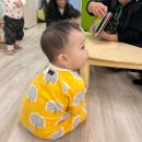 성지어린이집 | 가정보육의 성지, 다산행복공동육아나눔터 추천 후기