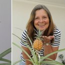 파인애플 이미지