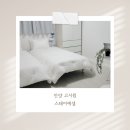 스테이에셀 이미지