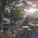 파주 눌노리 체험 캠핑장 이미지